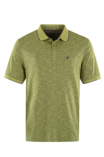 Hajo polo heren